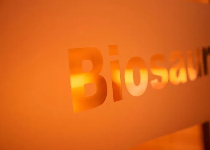 Ringhotel Katharinen Hof Hotel 4*