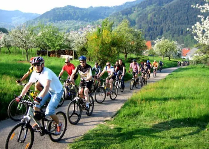 Ringhotel Katharinen Hof 4*